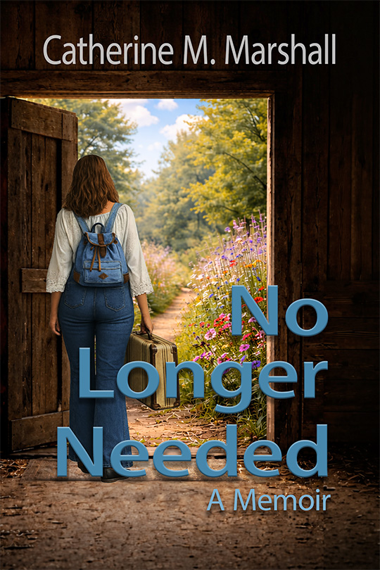 Cover image of No Longer Needed